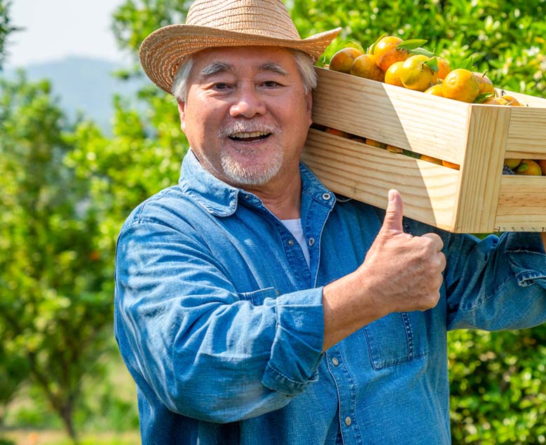 Man holding a crate of fresh oranges standing in an orange grove