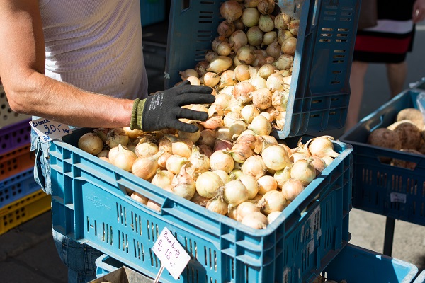 A Guide to Selling Your Farm Produce Wholesale