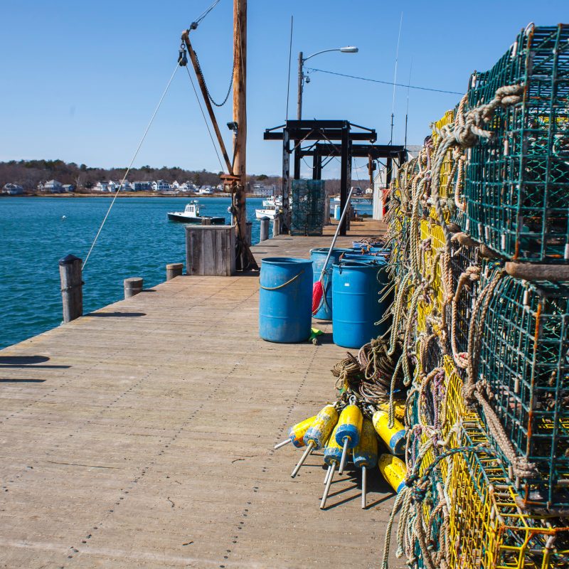 Maine's seafood producers
