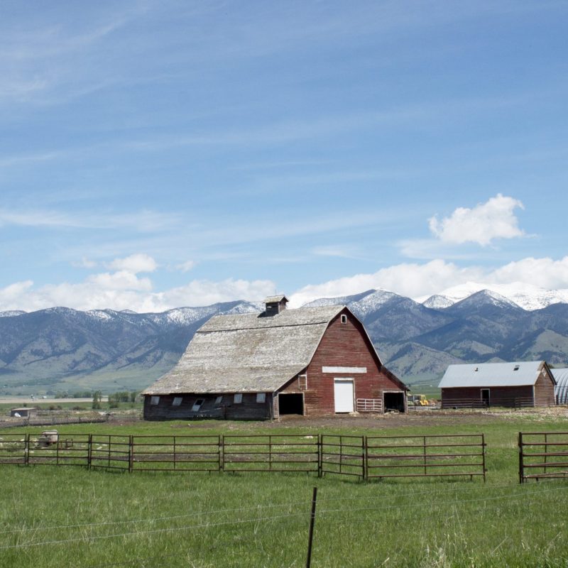Old Barn in Montana